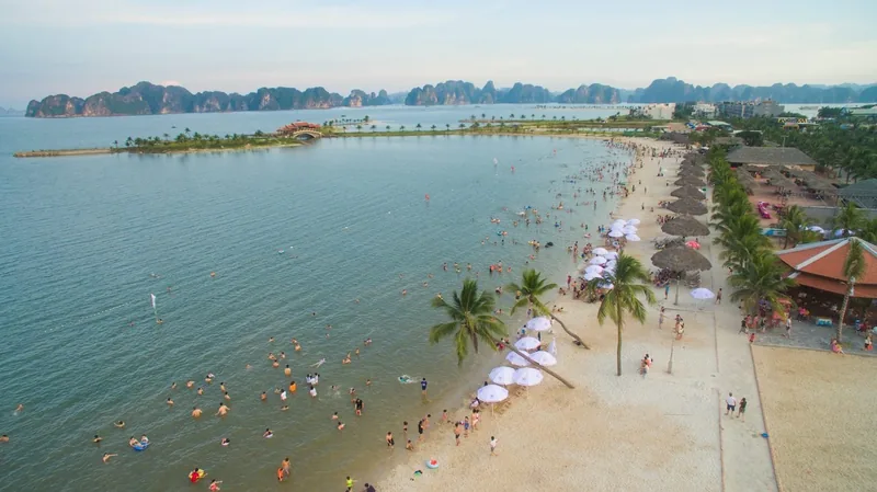 Toàn cảnh trên cao bãi biển đông người với hàng cọ và dù ở đảo Tuần Châu gần vịnh Hạ Long.